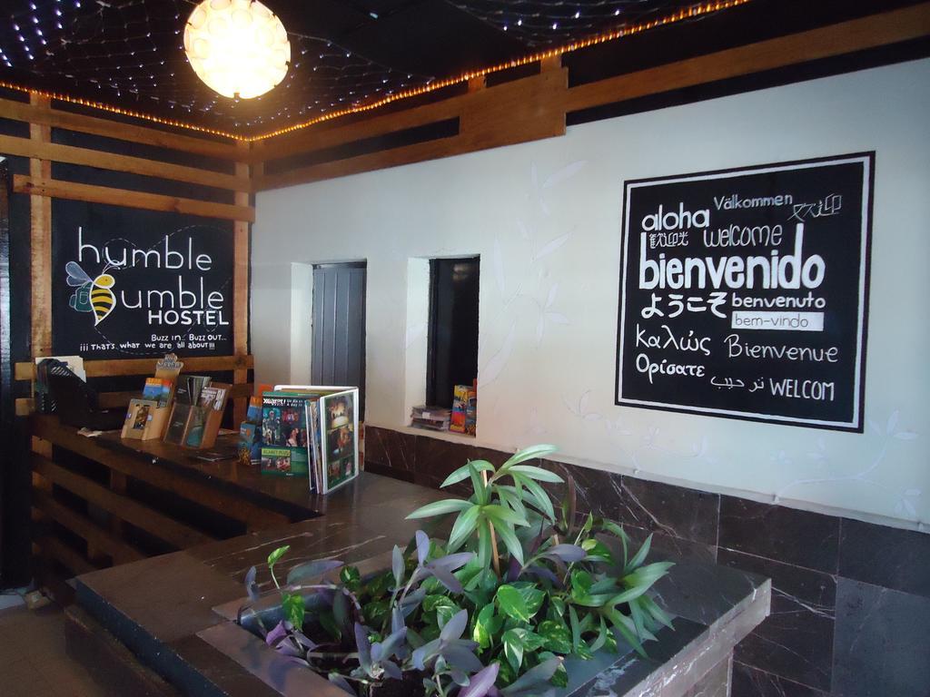 Humble Bumble Hostel Playa del Carmen Extérieur photo