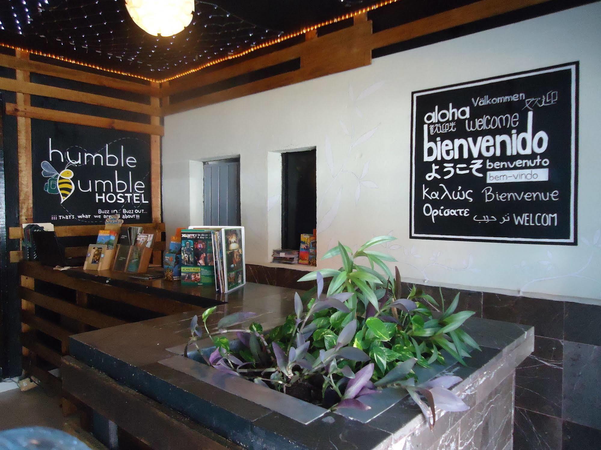 Humble Bumble Hostel Playa del Carmen Extérieur photo