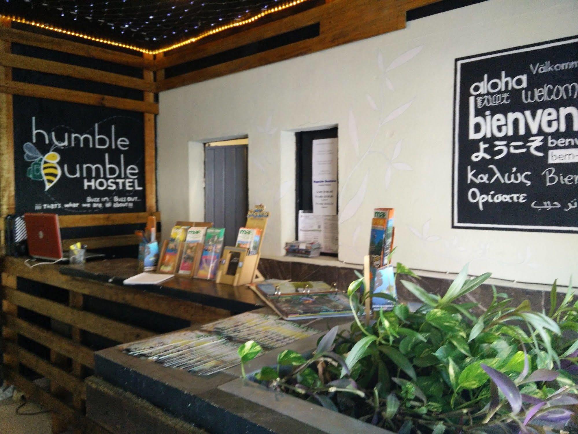 Humble Bumble Hostel Playa del Carmen Extérieur photo