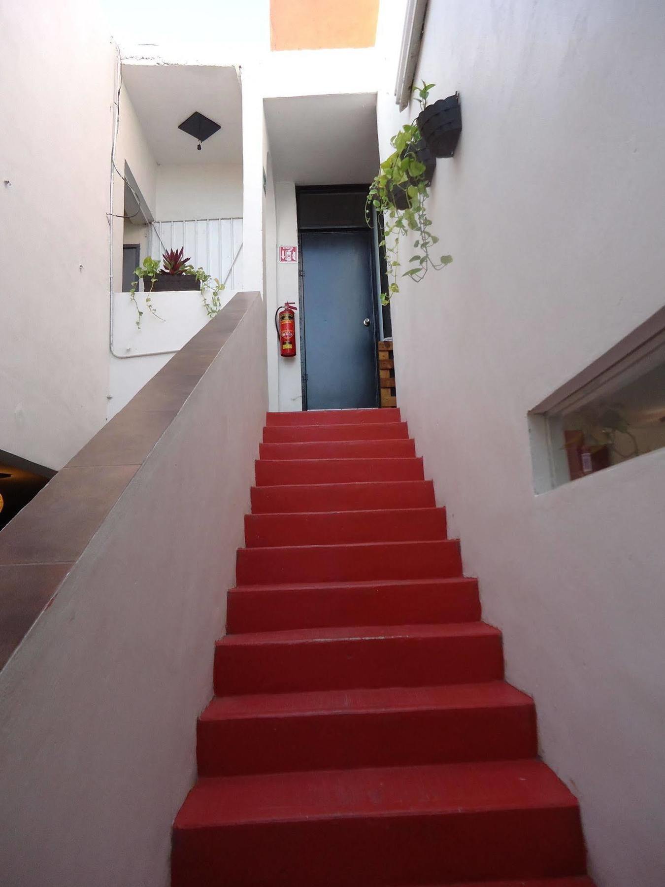 Humble Bumble Hostel Playa del Carmen Extérieur photo